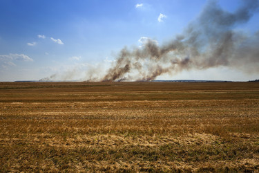 Similar image 10448894