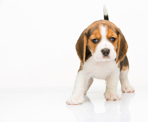 Similar image 10449006