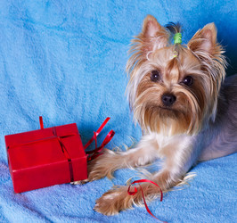 Similar image 10449032