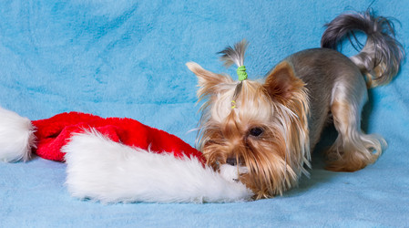 Similar image 10449033