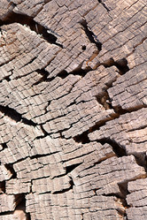 Similar image 10450033