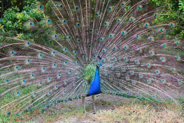 Similar image 10450976