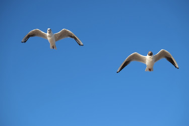 Similar image 10450977