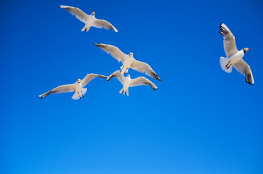 Similar image 10450978