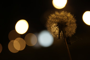 Similar image 10450979