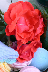 Similar image 10451065