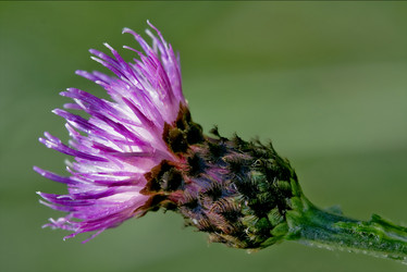 Similar image 10451107