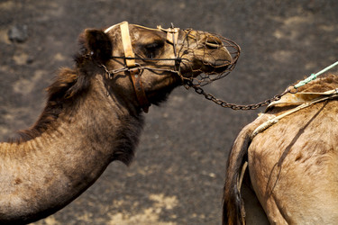 Similar image 10451127