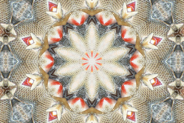 Similar image 10451142