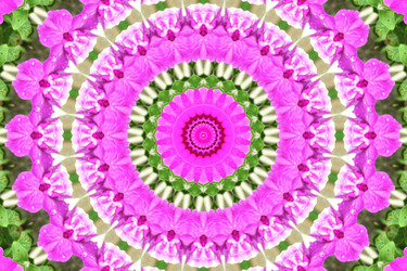 Similar image 10451143