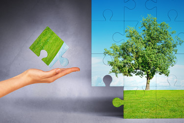 Similar image 10451295