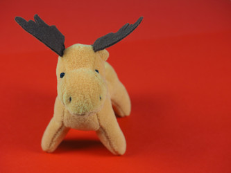 Similar image 10451613