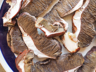 Similar image 10451616