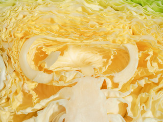 Similar image 10451622