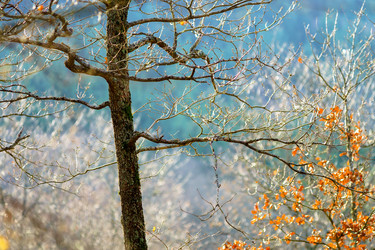 Similar image 10451665