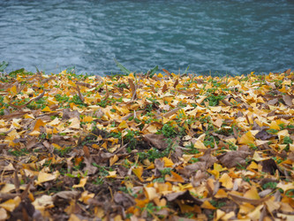 Similar image 10451732