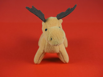 Similar image 10451761