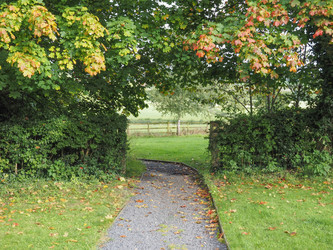 Similar image 10451769