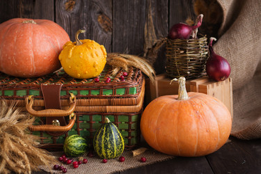 Similar image 10451840