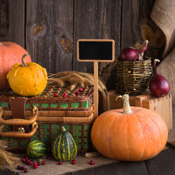 Similar image 10451841