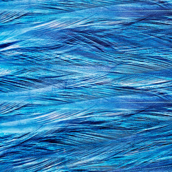 Similar image 10451895