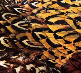 Similar image 10451899