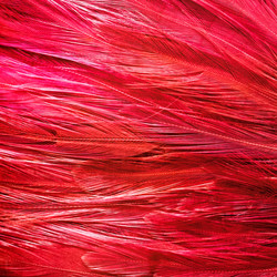 Similar image 10451900