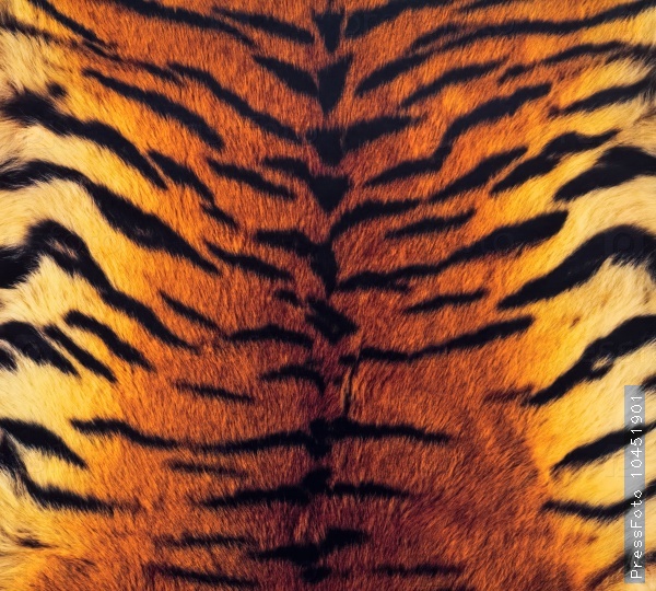 Tiger's skin background