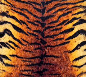 Similar image 10451901