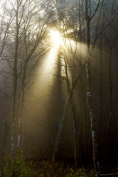 Similar image 10452418