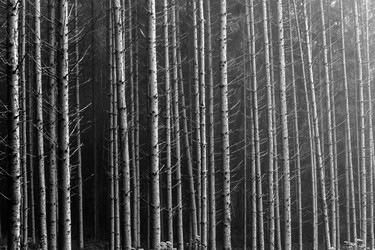 Similar image 10452419