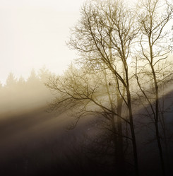 Similar image 10452420