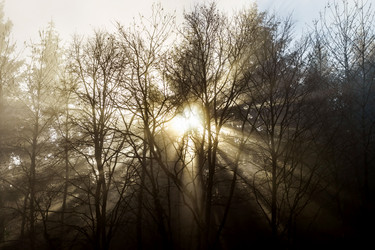 Similar image 10452421