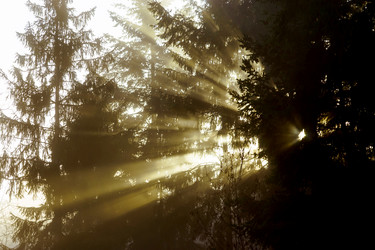 Similar image 10452422