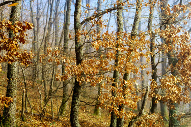 Similar image 10452426