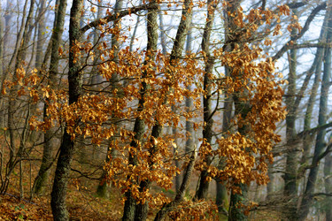 Similar image 10452428