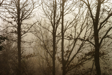 Similar image 10452429