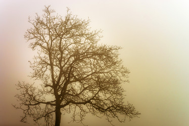 Similar image 10452432