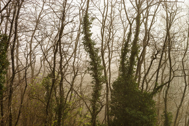 Similar image 10452434