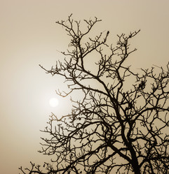 Similar image 10452435