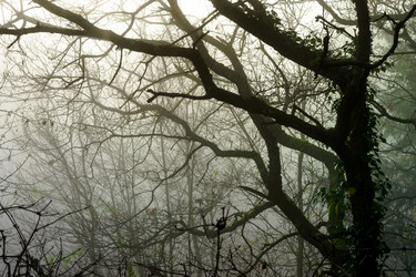 Similar image 10452439