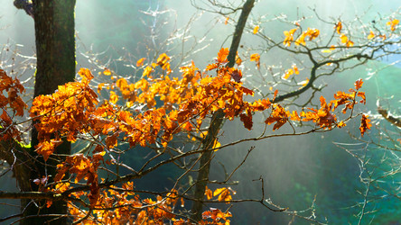 Similar image 10452445