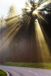 Similar image 10452446