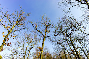 Similar image 10452447