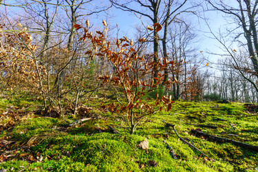 Similar image 10452448