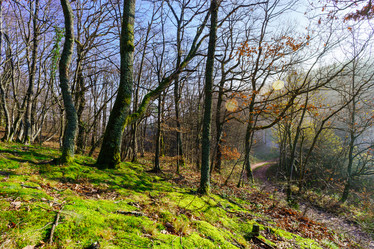 Similar image 10452457