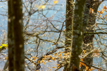 Similar image 10452459