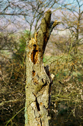 Similar image 10452508