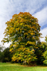 Similar image 10452514