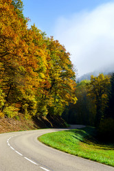 Similar image 10452515